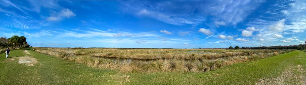 LW_Pano_iP11_1_5mm_8img pano_1_20_set3