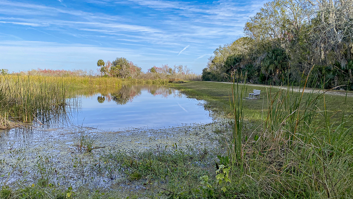 LW_Pool1__v2+4_3mmiP11_pro_IMG_1763