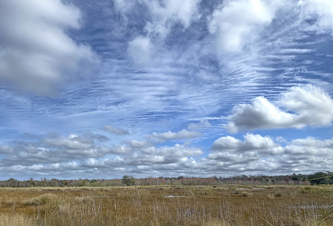 LW_Sky_ v21_4_3mm_iP11Pro_4img stack_v1