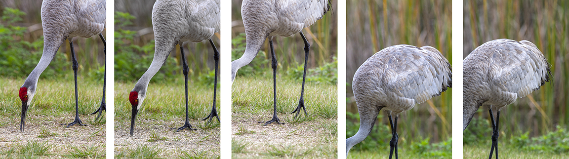 pano setup_MG_7774-2