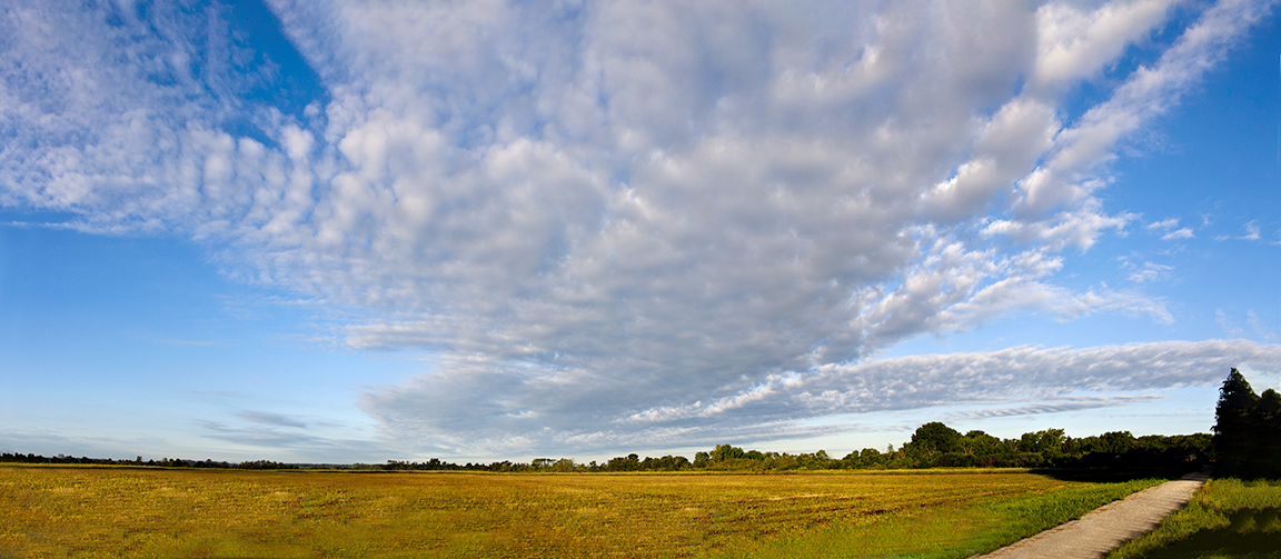 Bombay_Hook_6img_24mm_pano_v2