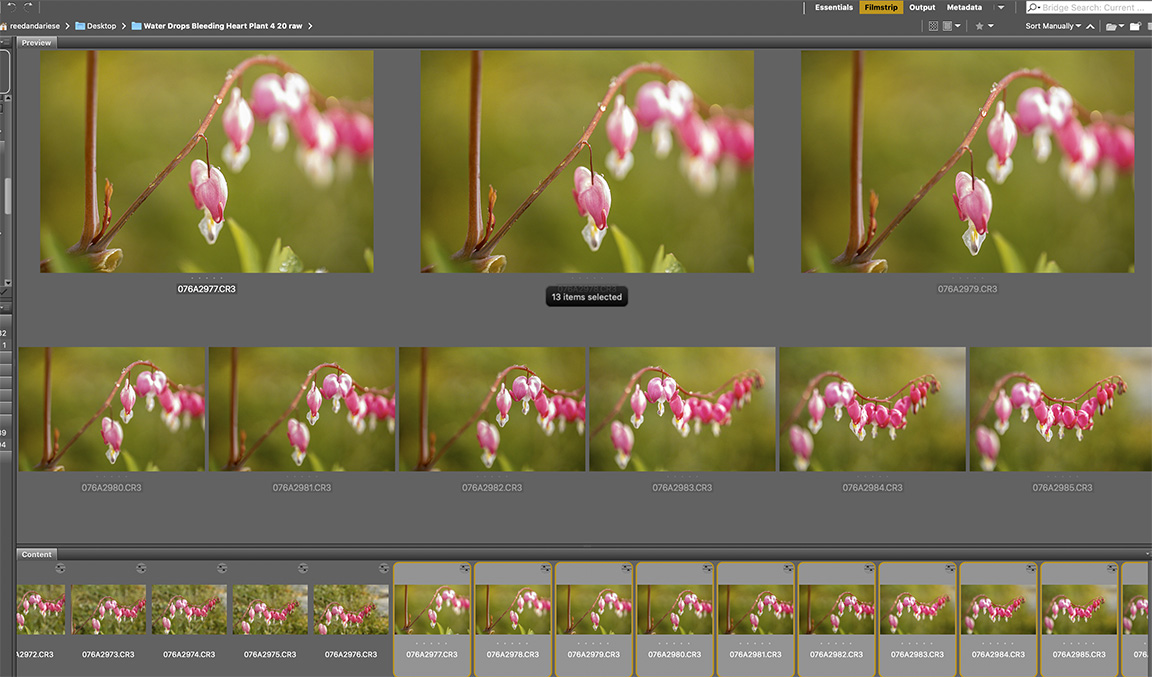 Screen Shot 2020-05-06 at 4.41.50 PM