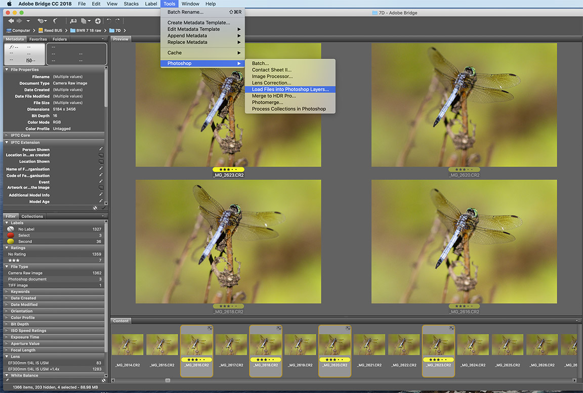 2 A Load files into Layere PSD copy